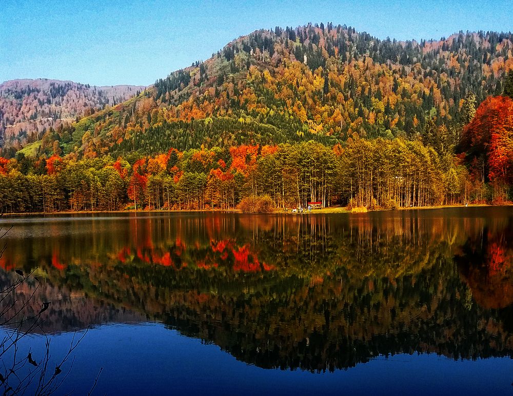 Photograph by Muzaffer Sütlüoğlu