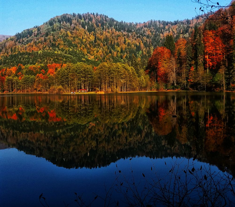 Photograph by Muzaffer Sütlüoğlu