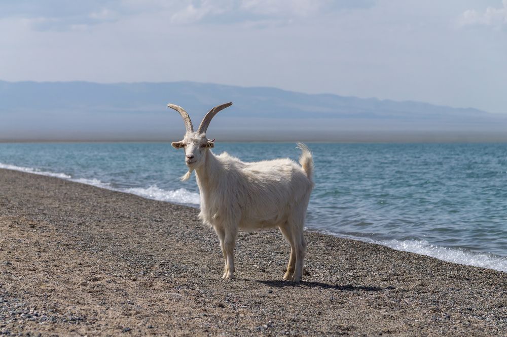 Photograph by Ольга Бурмистрова