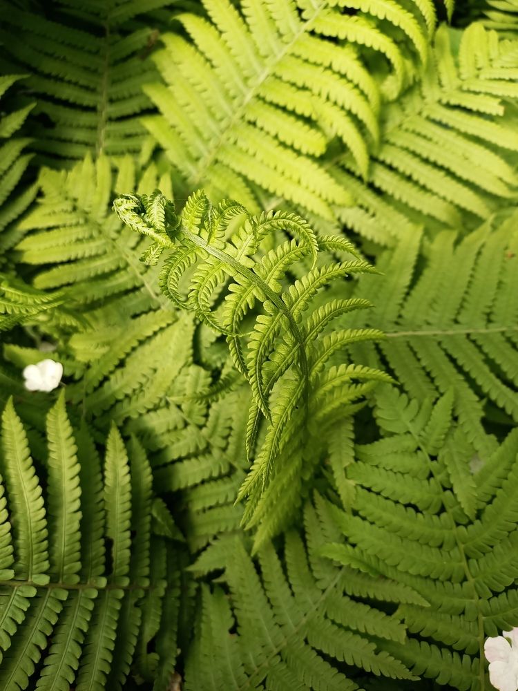 Photograph by Карина Дудатьева