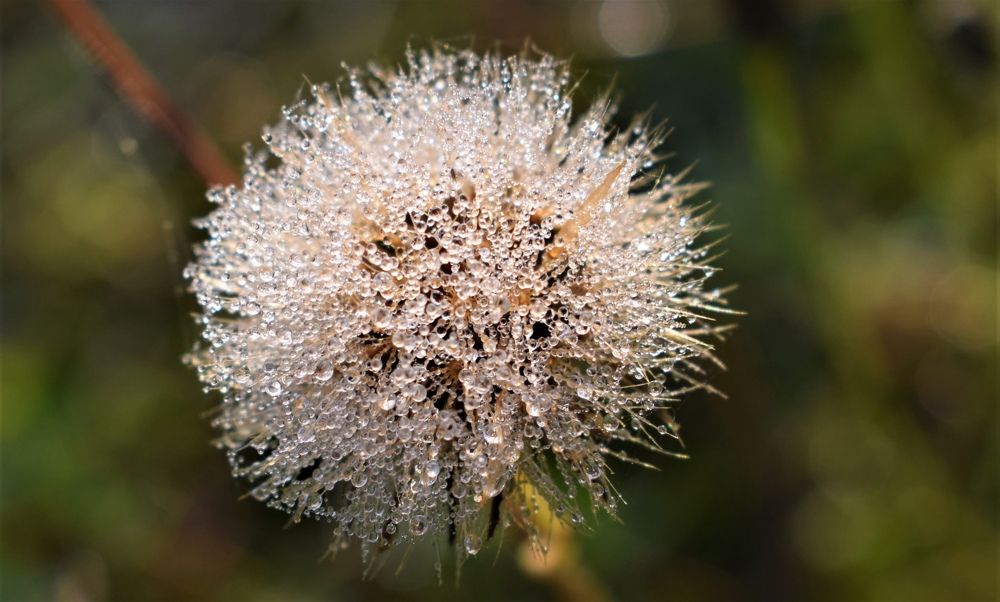 Фотография автора Алексей Усов
