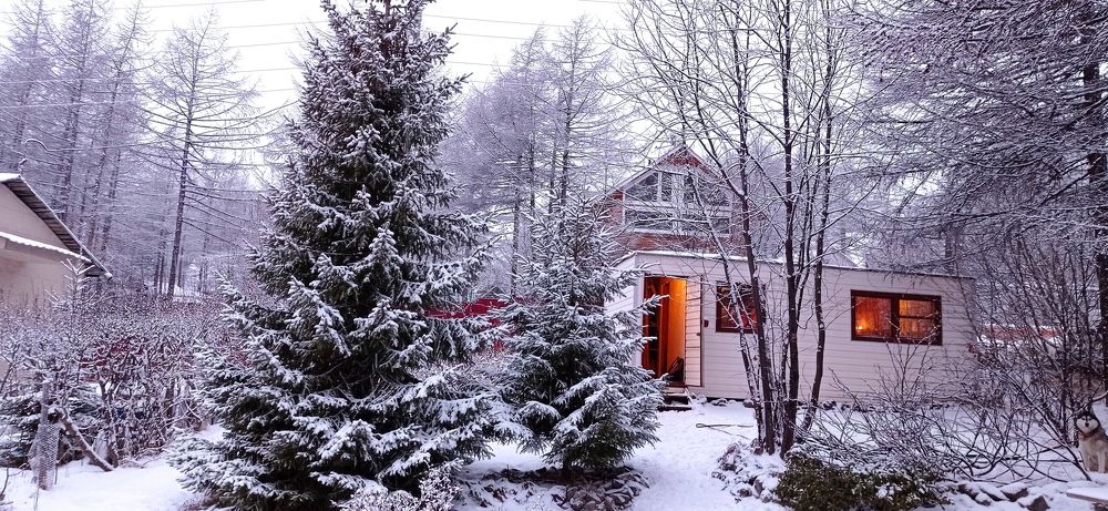 Photograph by Евгений Захаров