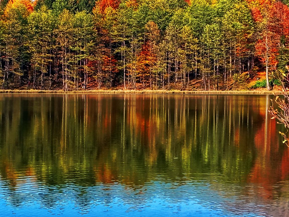 Photograph by Muzaffer Sütlüoğlu