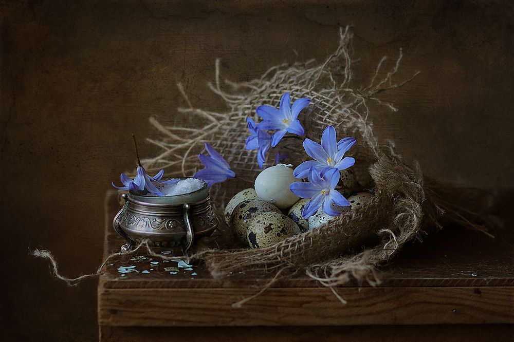 Фотография автора Светлана Дерябина