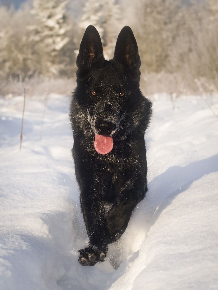 Photograph by Алёна Шматова