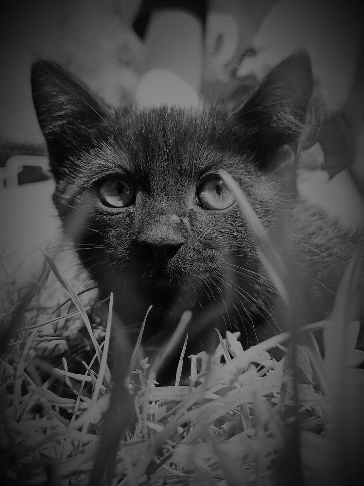 Photograph by Ольга Казакова