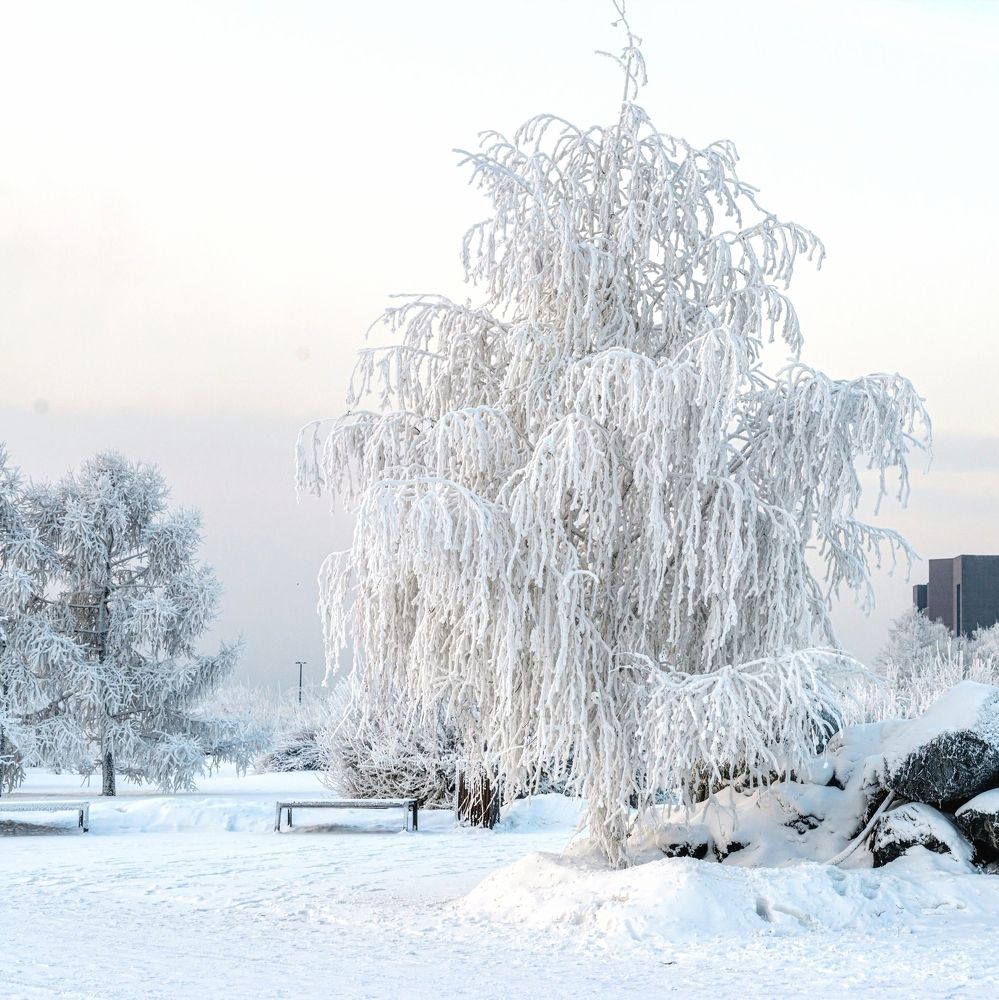 Photograph by Александр Глебов