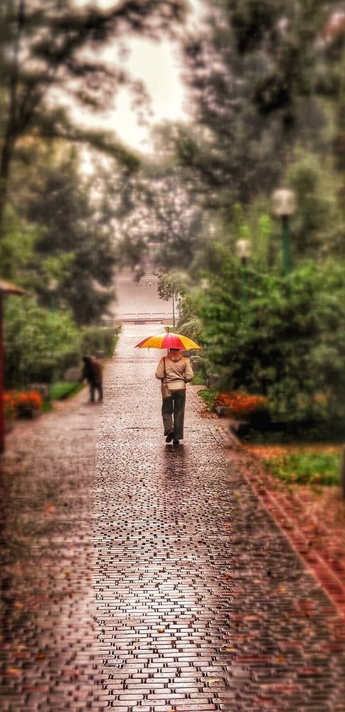 Фотография автора Дана Богинская