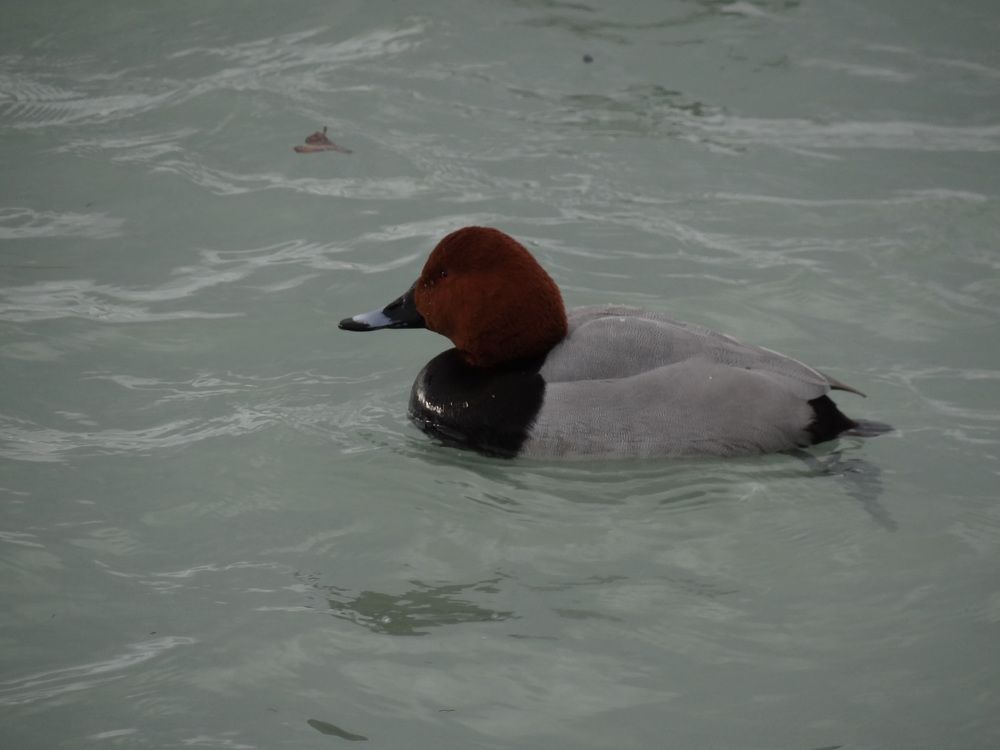 Photograph by Галина Сабитова