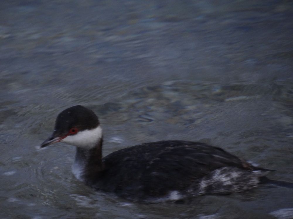 Photograph by Галина Сабитова