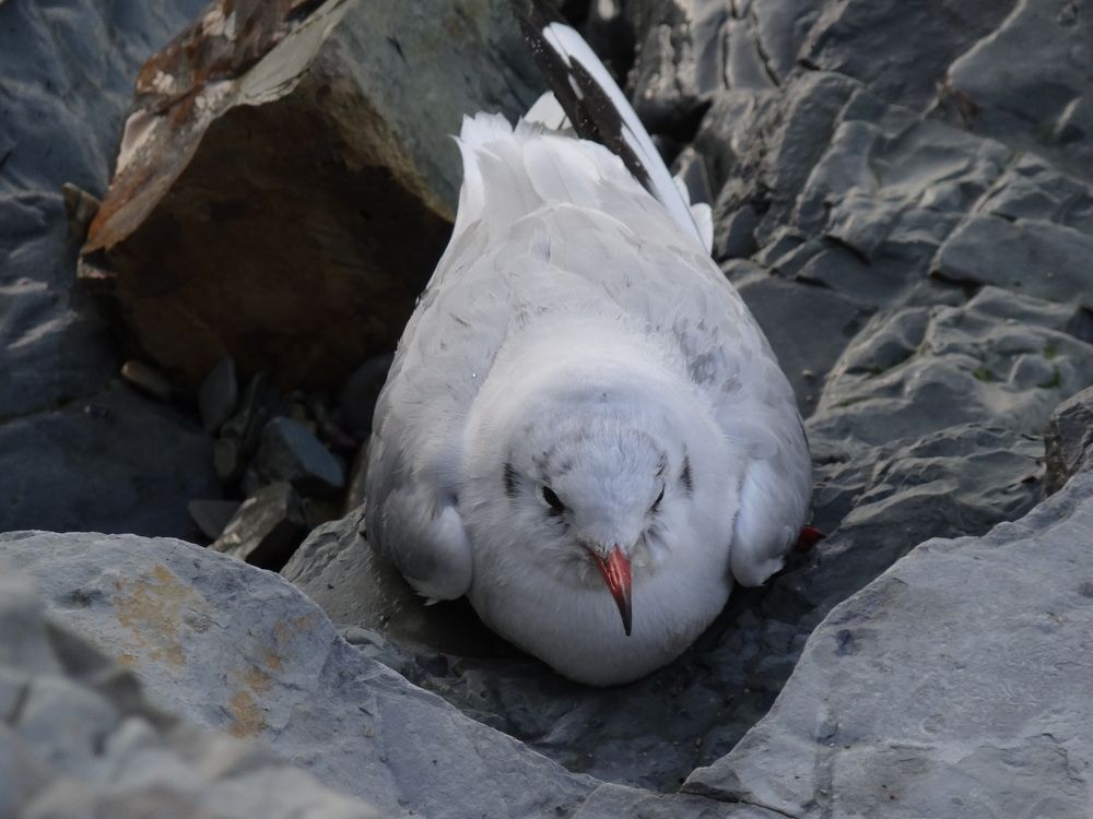 Photograph by Галина Сабитова