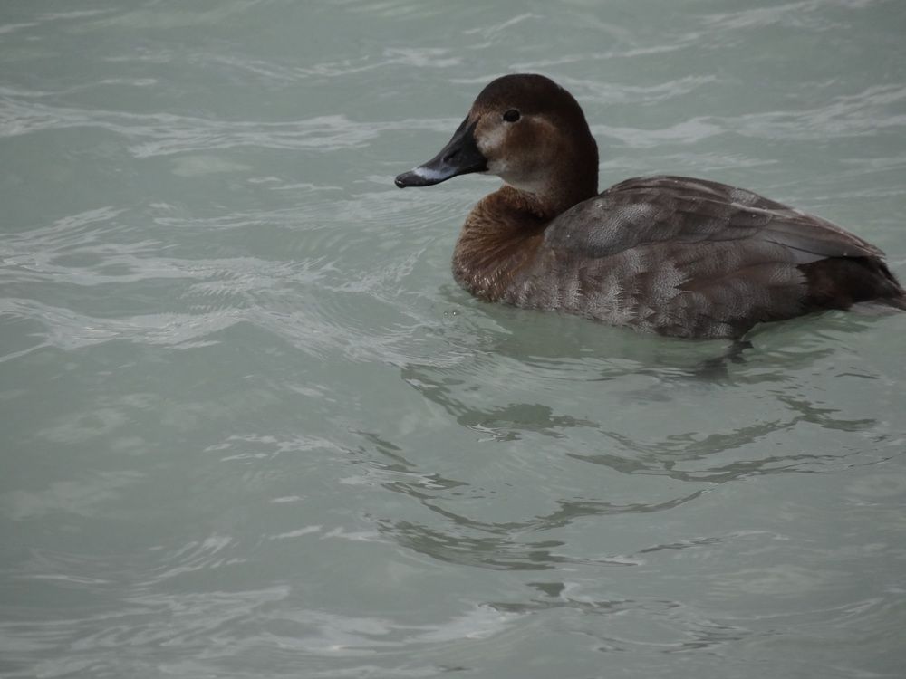 Photograph by Галина Сабитова