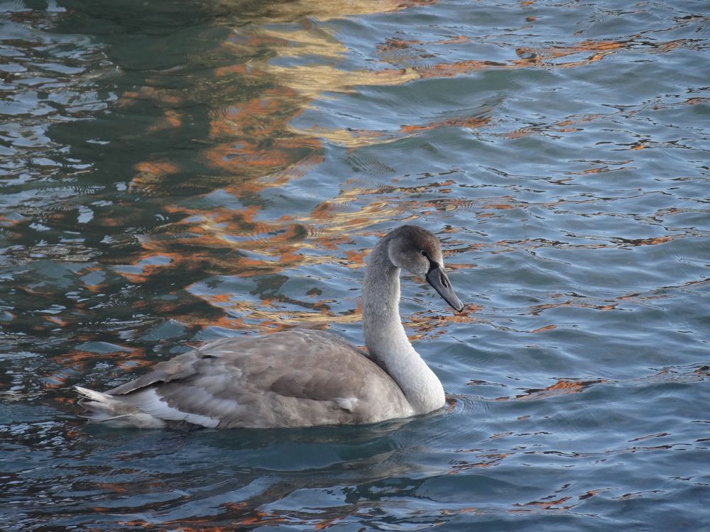 Photograph by Галина Сабитова