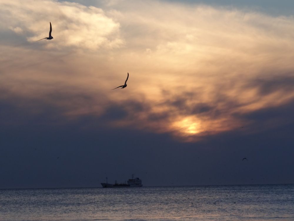 Photograph by Галина Сабитова