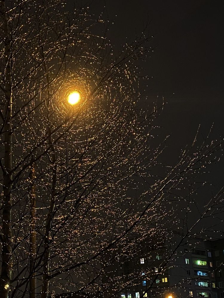 Photograph by Виктория Ярина