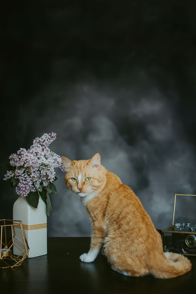 Photograph by Людмила Зяблова