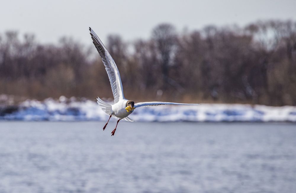 Фотография автора Марат Габидуллин