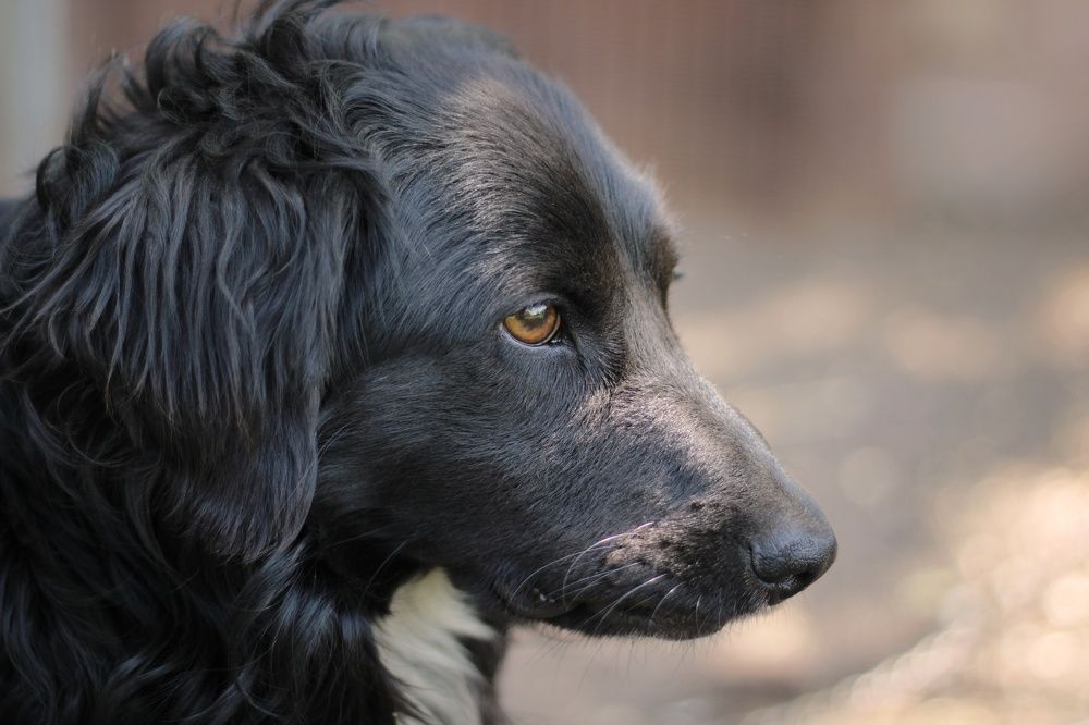 Photograph by Гульжан Шарипова