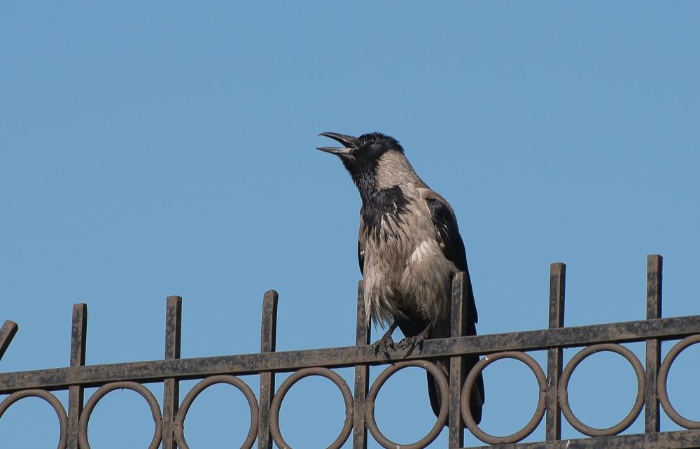 Вентиляция лёгких........