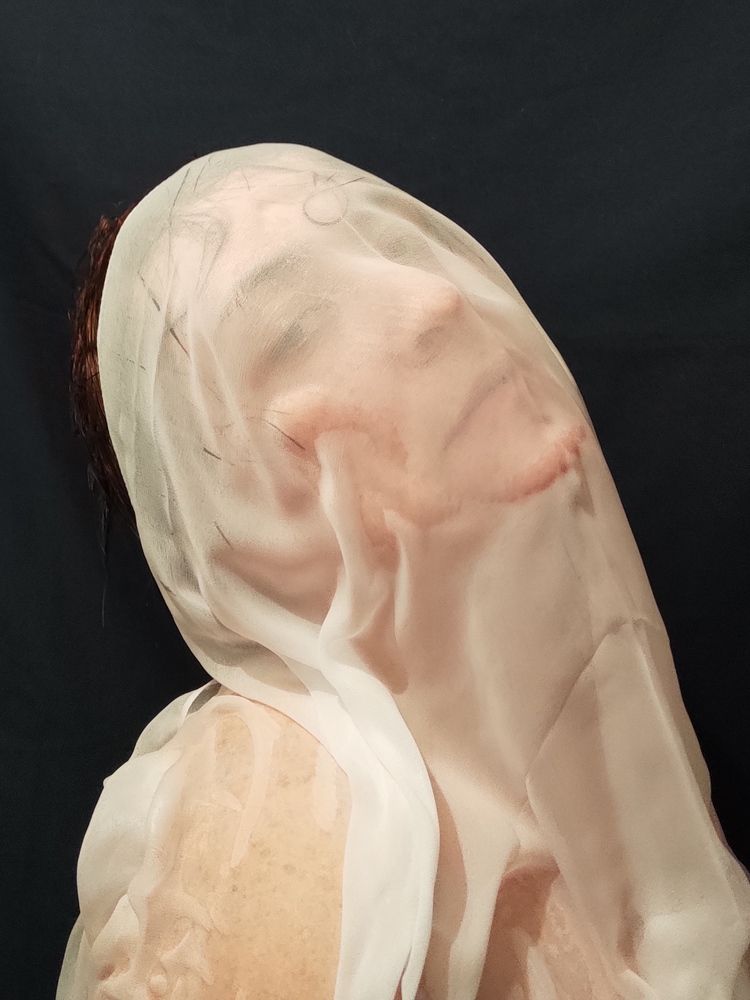 Photo #7505276