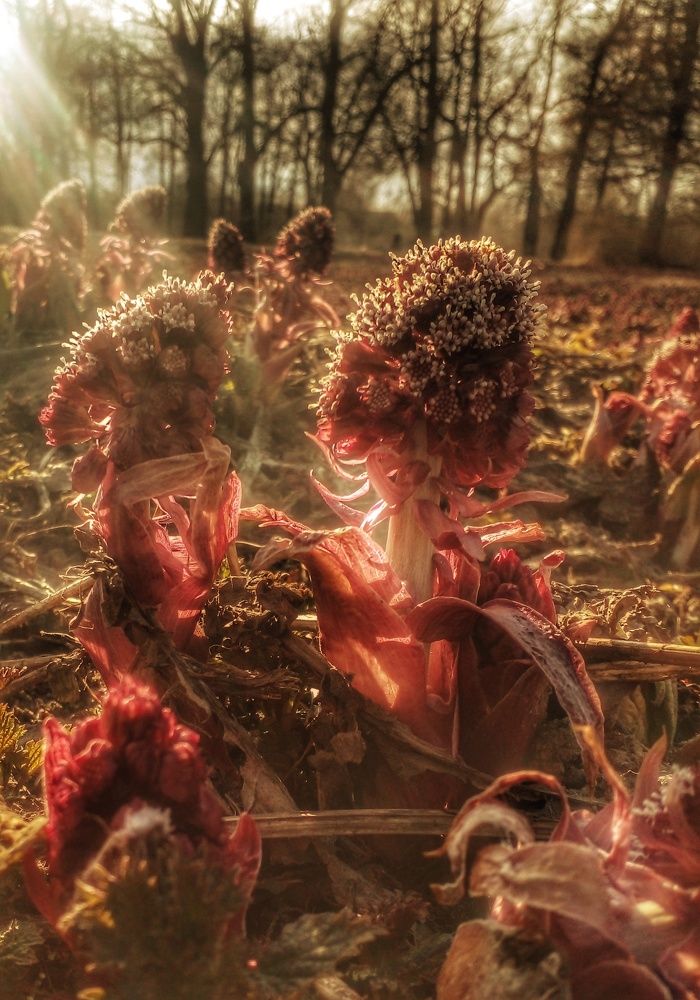 Photograph by Оксана Новосад