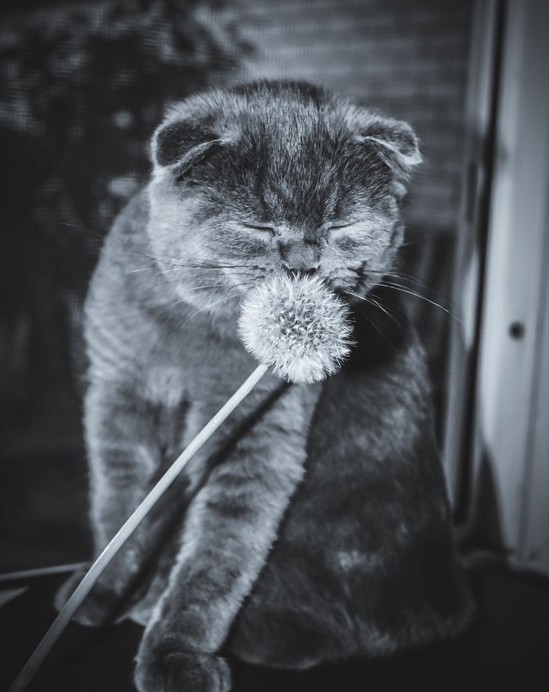 Photograph by Татьяна Слободчикова