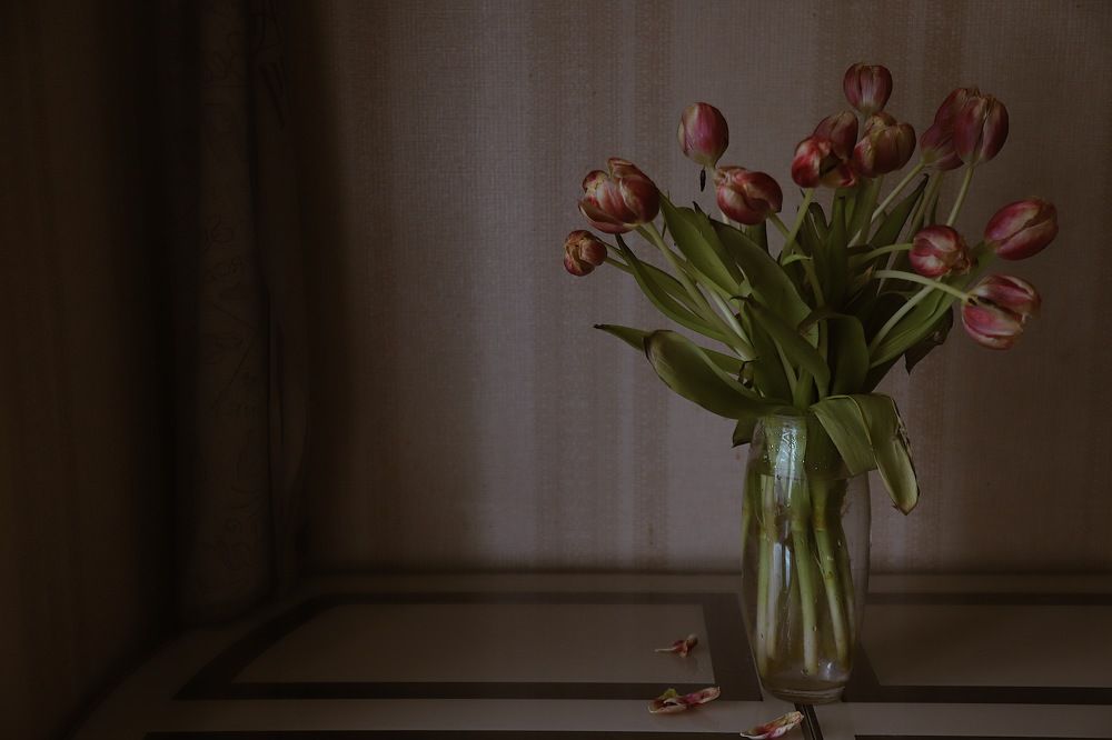 Фотография автора Екатерина Устинкина