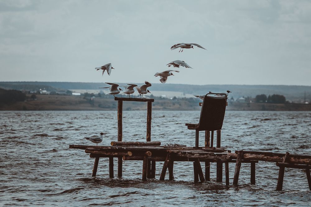 Photograph by Марина Логинова