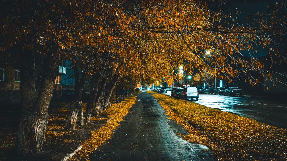 Photograph by Илья Толстоноженко