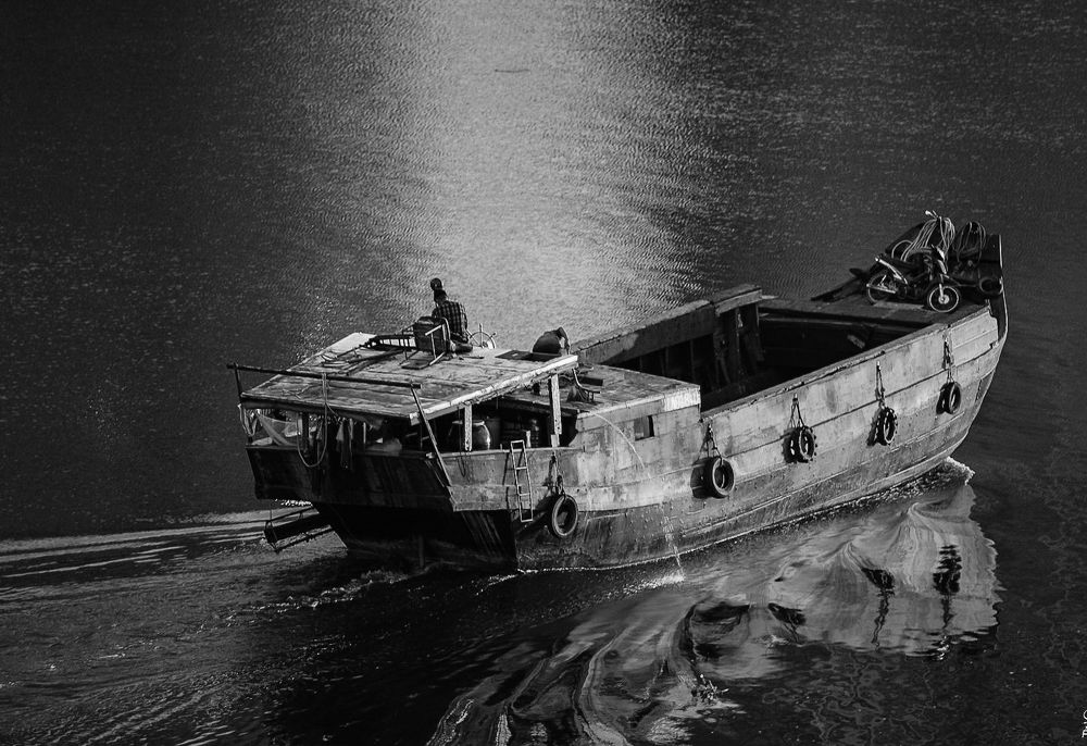 Photograph by Phong Đình