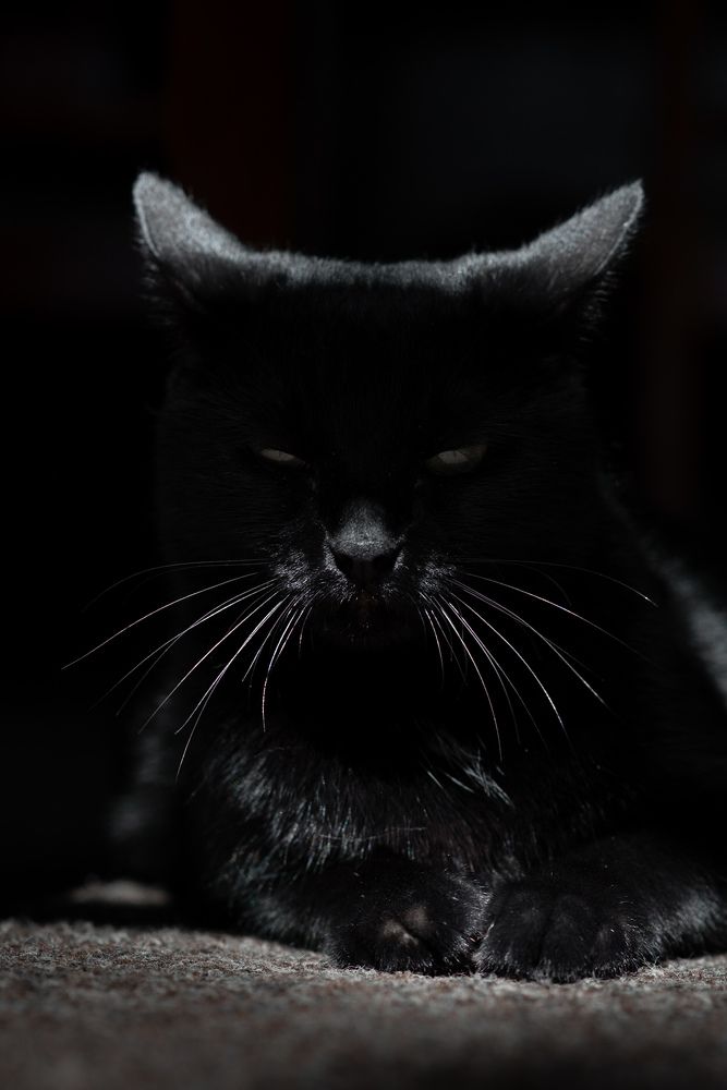 Photograph by Анна Халкониди