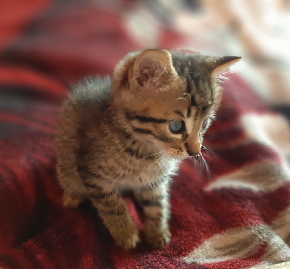 Photograph by Татьяна Чершнева