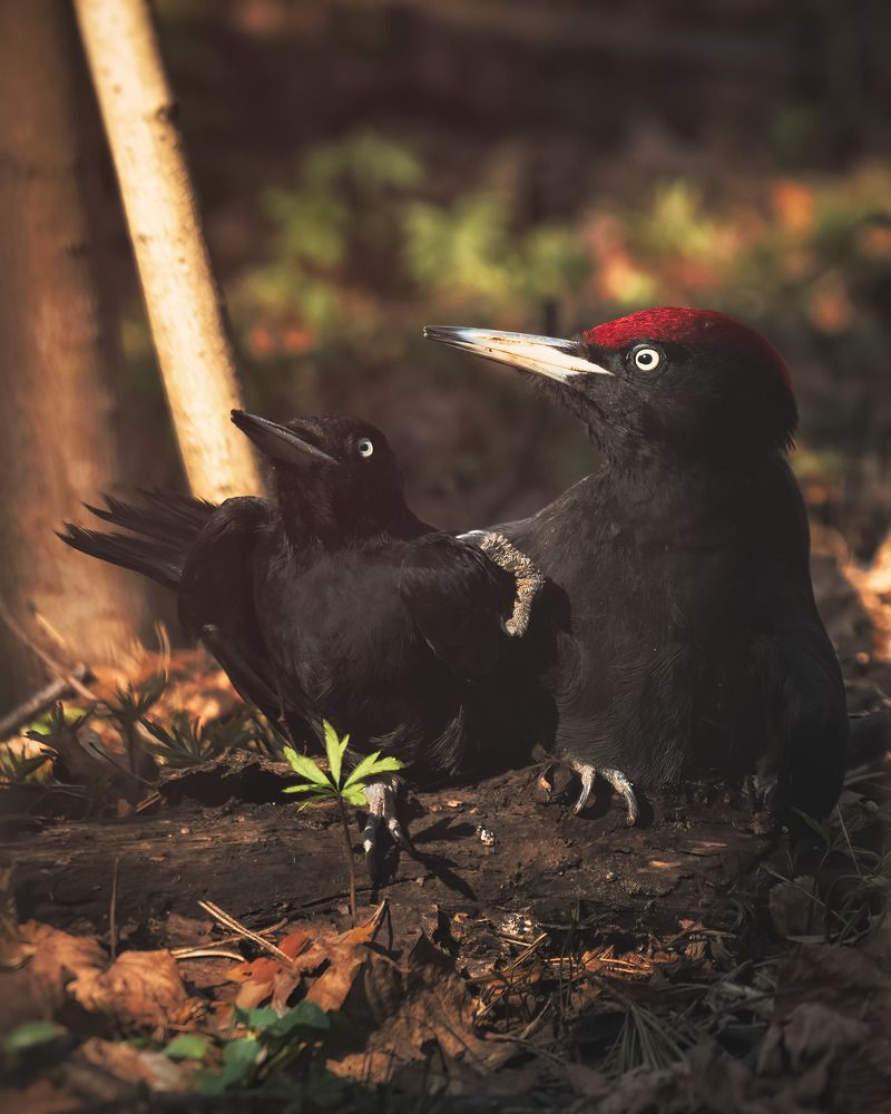 Photograph by Поляков Михаил