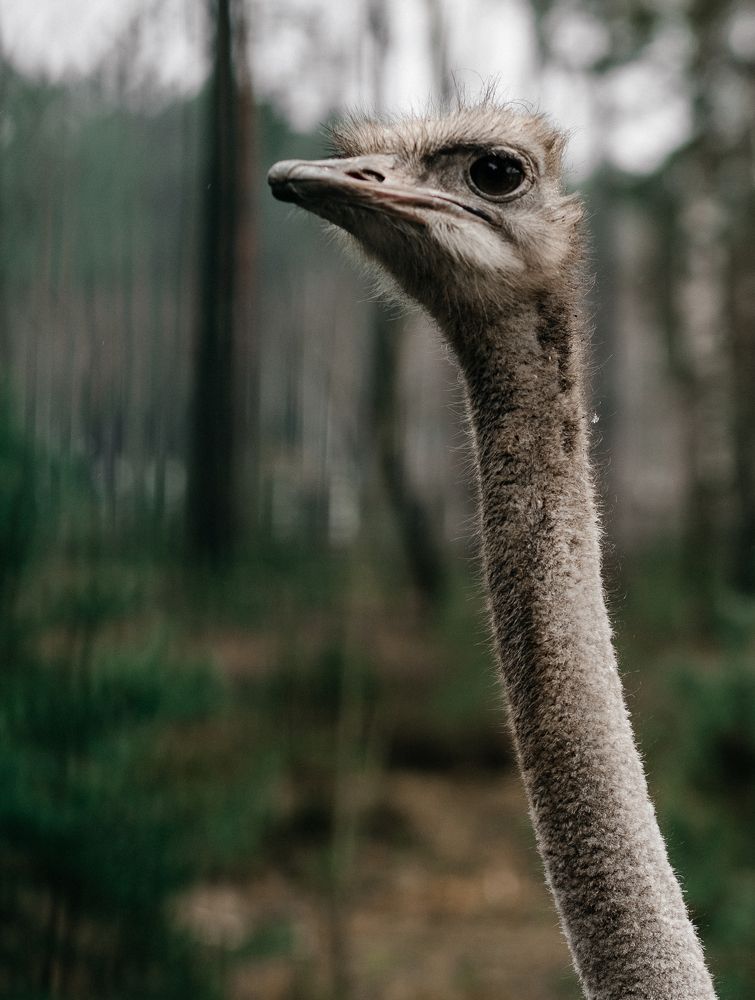 Photograph by Наталья Пагоцкая