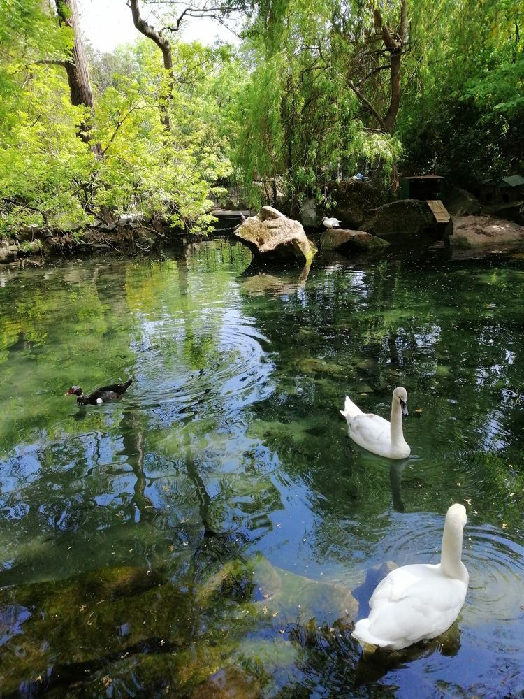 Photograph by Татьяна Чарушина