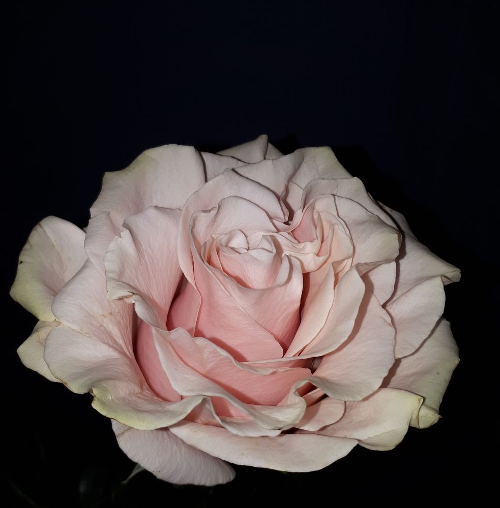 Photograph by Наталья Сергейко