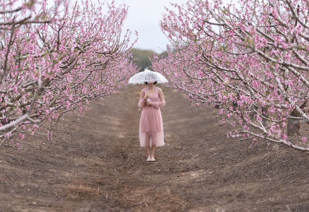 Photograph by Julia Arditi