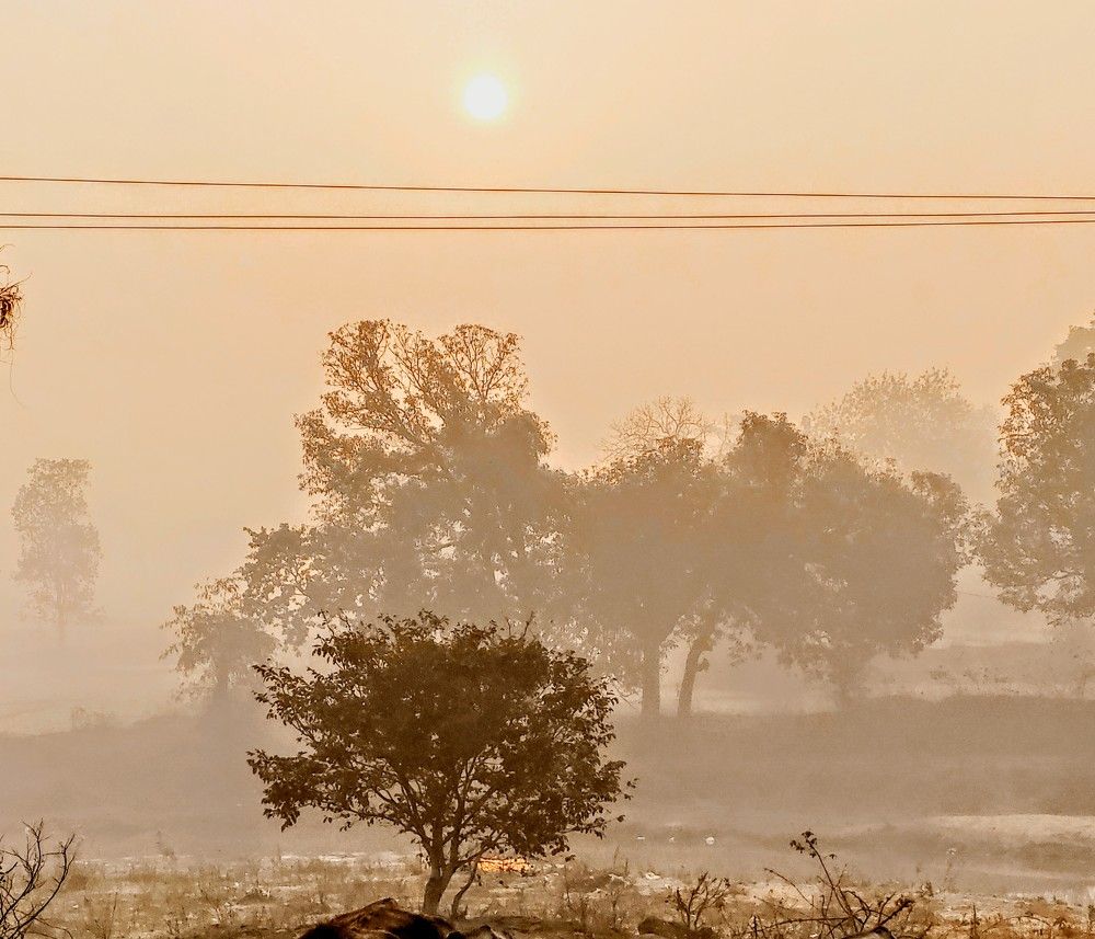 Фотография автора Santanu Dasgupta