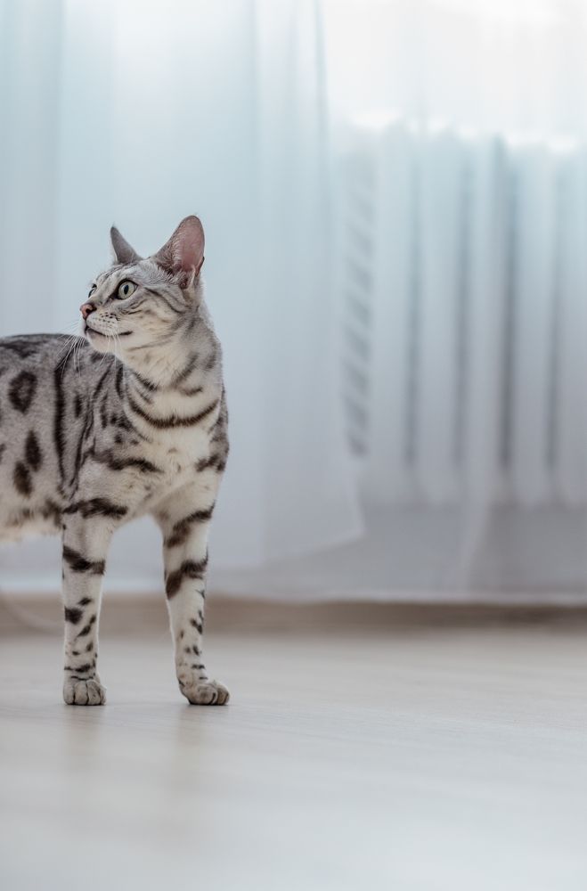 Photograph by Наталья Пагоцкая