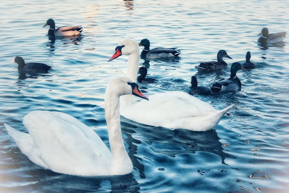Photograph by Анна Валерьевна