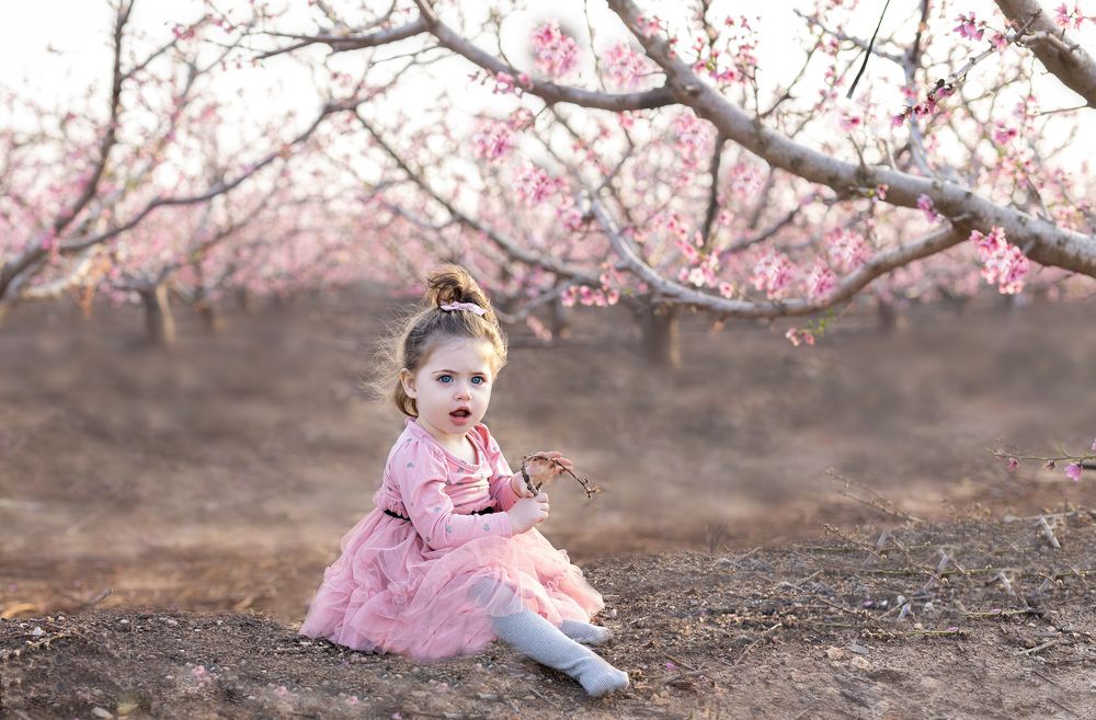 Photograph by Julia Arditi