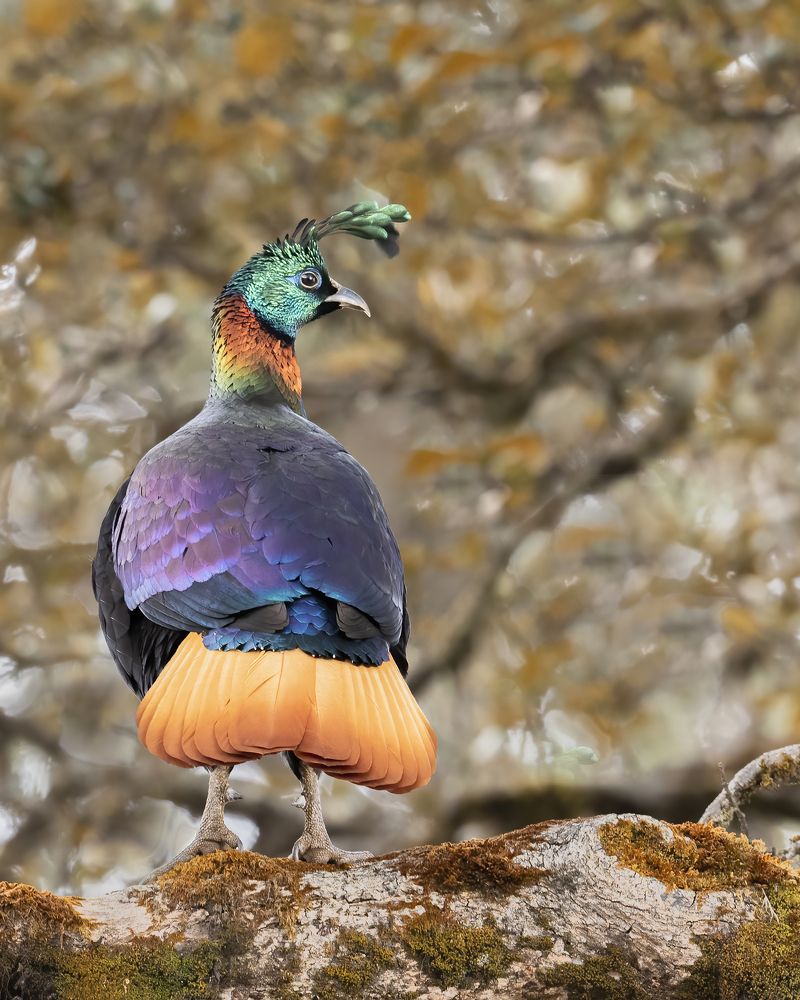 Photograph by Sushmeet Kathuria