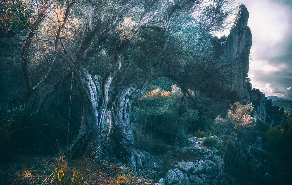 Photograph by ROQUE RAMAJO POLO