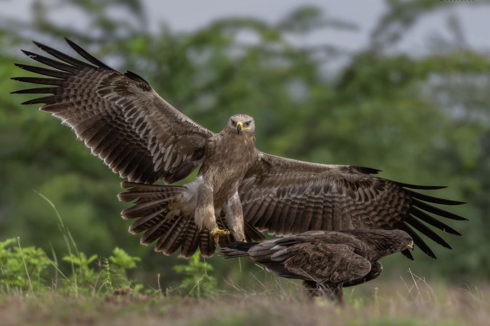 Photograph by Sushmeet Kathuria