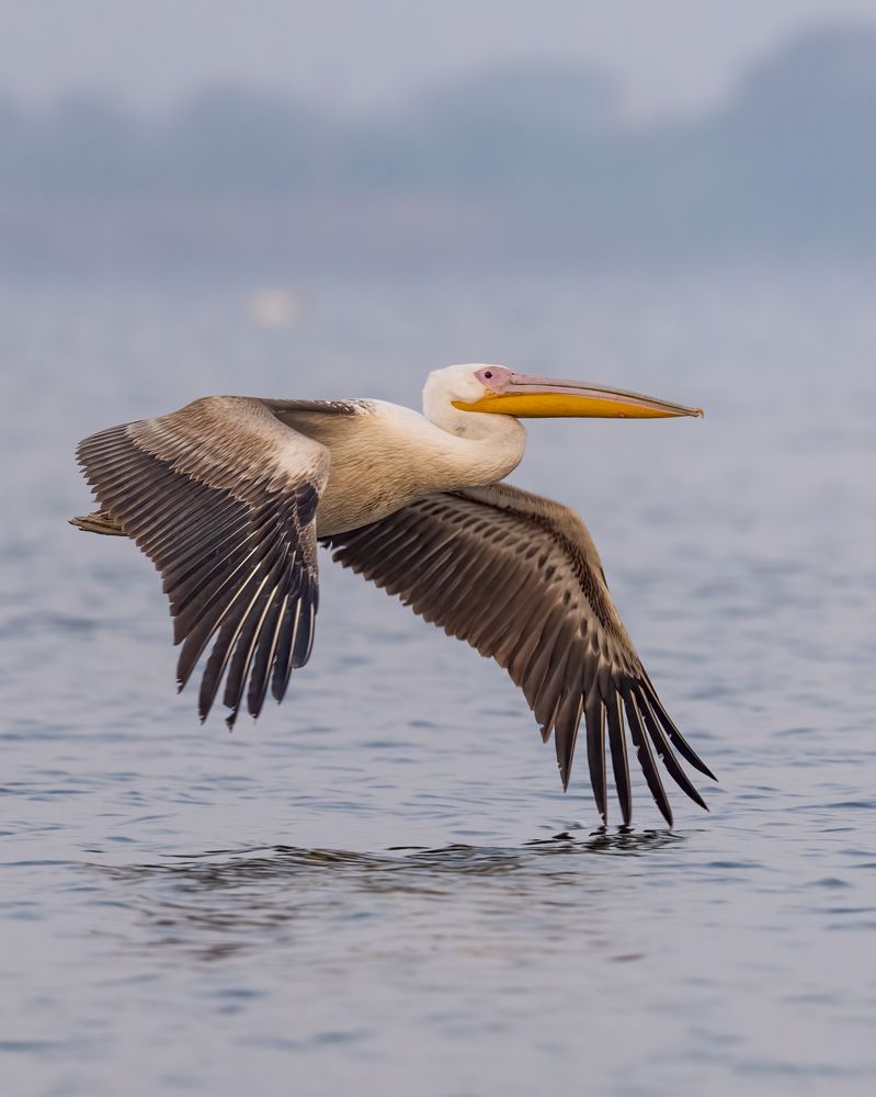 Photograph by Sushmeet Kathuria