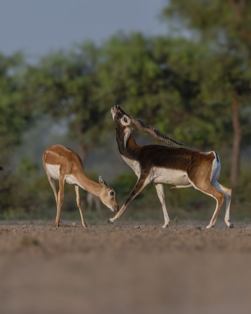 Photograph by Sushmeet Kathuria