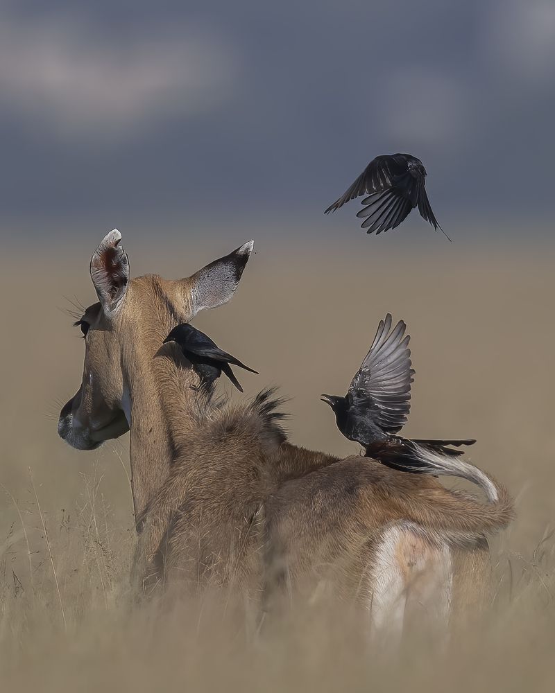 Photograph by Sushmeet Kathuria