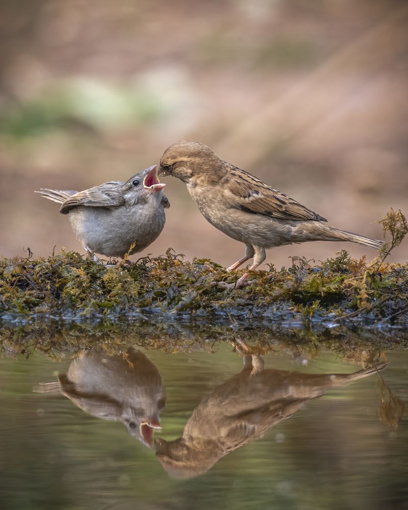 Photograph by Sushmeet Kathuria