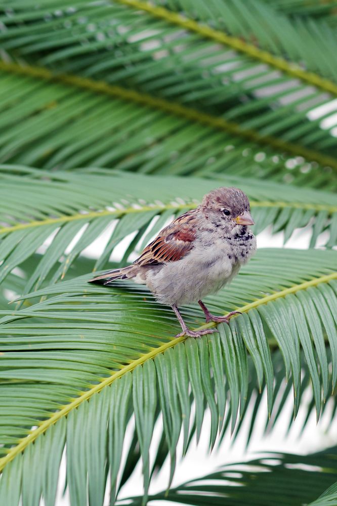 Photograph by Елена Лотник