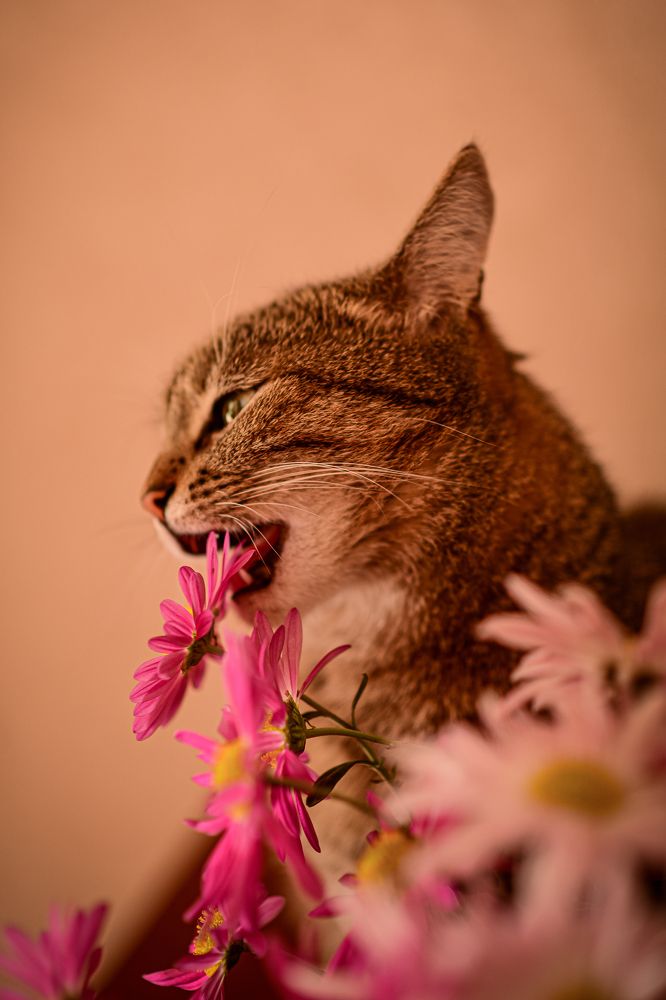 Photograph by Анастасия Донская